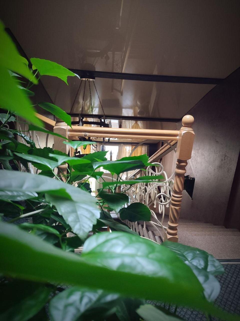 Apartament Diamond De Luxe Kołomyja Zewnętrze zdjęcie